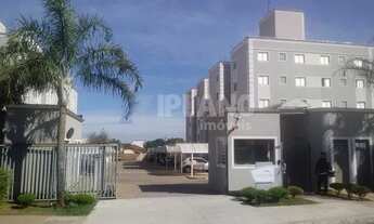 Imagem: Venda de Apartamentos / Padrão na cidade