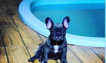 Imagem 5: Alugo casa FDS e temporada na linha verde JAUÁ