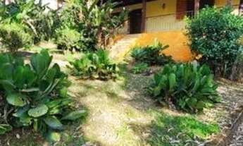 Imagem 1: Casinha Ipê Amarelo