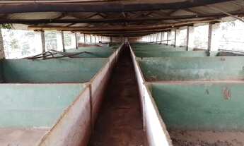 Imagem 2: Sitio em ÓTIMA localização super valorizada