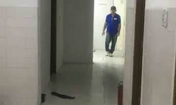 Imagem 5: Aluga-se casa são João Jequié