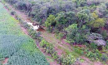 Imagem 3: Fazenda em Divinopolis-TO. Bruta