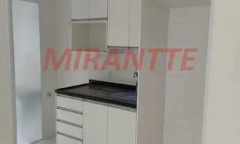 Imagem 6: Lindo apartamento em Vila Santa Catarina