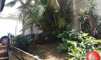 Imagem 5: São Paulo - Terreno Padrão - Tatuapé