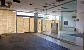 Imagem 7: EXCELENTE PNTO COMERCIAL GALPÃO 335m² COM ESTACIONAMENTO NO CAMPANÁRIO!!!