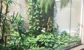 Imagem 4: CASA ASSOBRADADA - BOSQUE DA SAÚDE - SP