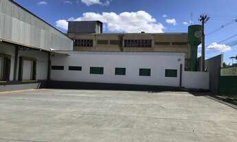 Imagem 7: Galpao com camera fria refrigerados e congelados 930 metros BR 060 ade aguas claras