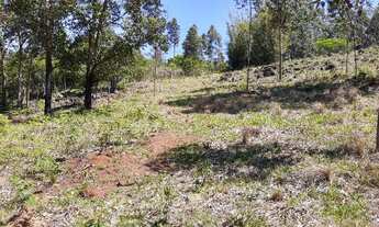 Imagem: área de 2.00ha, toda limpa e cercada, com