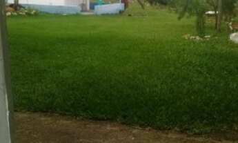 Imagem 5: Vendo sítio em Rio de contas Ba