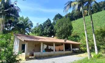 Imagem: Sítio 7 alqueires ou 169.000 m2 Produtivo