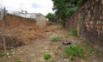 Imagem 3: VENDO EXCELENTE LOTE NA REGIÃO DO TURU - BOA VISTA