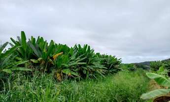 Imagem: Sítio 2 alqueires Plano Terra boa pra Banana