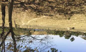 Imagem 3: Fazenda em caldas novas 63 Alqueires planta 45