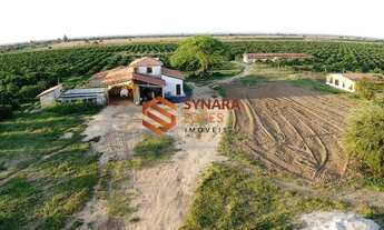 Imagem 2: VENDO FAZENDA COM 130 TAREFAS - CRISÓPOLIS - BAHIA