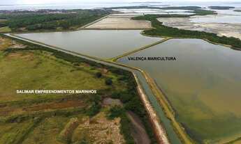 Imagem 4: Fazenda à venda Salinas da Margarida - Bahia, 3360000 m² por R$ 22.500.000 - Centro - Sali