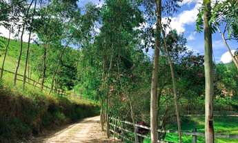 Imagem 7: Linda fazenda A Venda em Borda da Mata- MG
