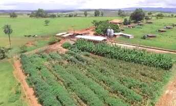 Imagem 4: Fazenda 50ha, pasto, leite, à 7km do asfalto em Luz/MG