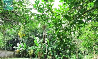 Imagem 6: 3 dormitório, casa térrea !