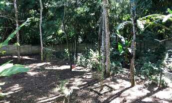 Imagem 4: Chácara para venda tem 400 metros quadrados