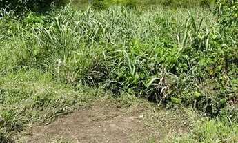 Imagem 3: Amélia Rodrigues - Fazenda com 2 nascente de água, boa para pasto 675.000 m² na Br 324