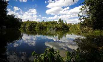 Imagem 7: Terreno - Joaquim Egídio - Campinas