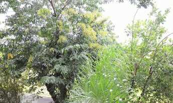 Imagem 5: Apartamento para Aluguel - Igará, 2 Quartos, 45 m2