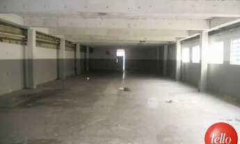 Imagem 6: São Paulo - Prédio Inteiro - Tatuapé