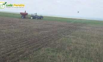 Imagem 7: FAZENDA À VENDA EM BOM JESUS - PI - 1.180 HECTARES (DUPLA APTIDÃO
