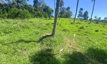 Imagem 2: Lotes sem consulta ao SPC