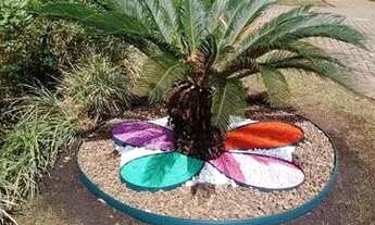 Imagem 2: Apartamento para Locação em São Paulo, Vila Moreira, 2 dormitórios, 1 banheiro, 1 vaga