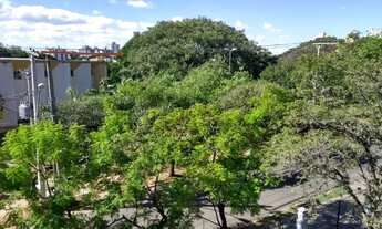 Imagem 3: Apartamento para aluguel com 44 metros quadrados com 1 quarto em Vila Ipiranga - Porto Ale