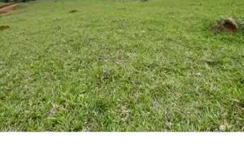 Imagem 3: Lote/Terreno para venda com 360 metros quadrados em Centro - Atibaia - SP