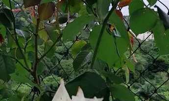 Imagem 5: Apartamento de 2 quartos no Itanhangá