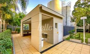 Imagem 7: São Paulo - Apartamento Padrão - Belenzinho