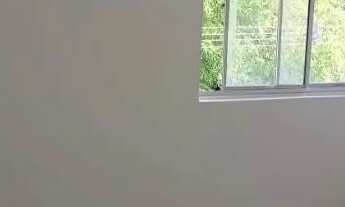 Imagem 3: Aluguel de Apartamento no condomínio Paralela Park