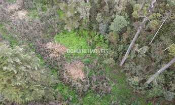 Imagem: Ampla Área de Terreno à Venda no Centro