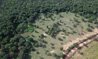 Imagem 4: Fazenda formosa - go - 89 alqueires - excelente - venha conhecer