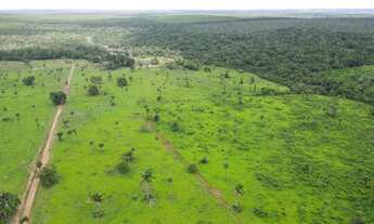 Imagem 3: Fazenda de 200 Alqueires Município de Araguatins TO