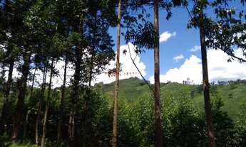 Imagem 2: TERRENO RURAL em JOANÓPOLIS - SP, CENTRO