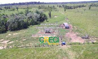 Imagem 4: 128 Alqueires Machadinho-RO