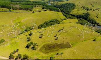 Imagem 2: Linda Área de Terras em Bom Jesus