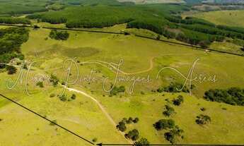 Imagem 4: Linda Área de Terras em Bom Jesus