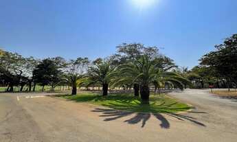 Imagem 9: Lote/Terreno Condomínio Ipê Branco