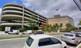 Imagem 4: Terreno analia franco