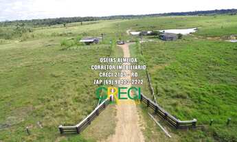 Imagem 3: 128 Alqueires Machadinho-RO