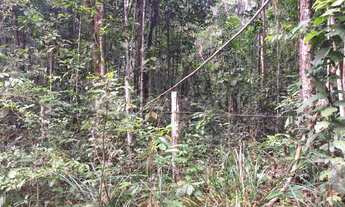 Imagem 3: Lote/Terreno para venda possui 50000 metros quadrados em Arraial D'Ajuda - Porto Segu