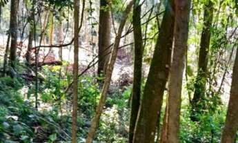 Imagem 5: Chácara à venda em Taquara RS, Na localidade de Fazenda Fialho!!