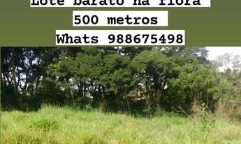 Imagem: Lote barato no Flora