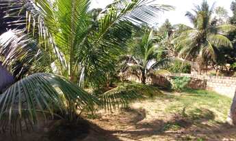 Imagem 5: Terreno Terreno / lote com venda por R$85.000