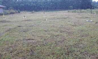 Imagem 2: Área de terra 1.755,00m², toda cercada, vários pés de frutíferas